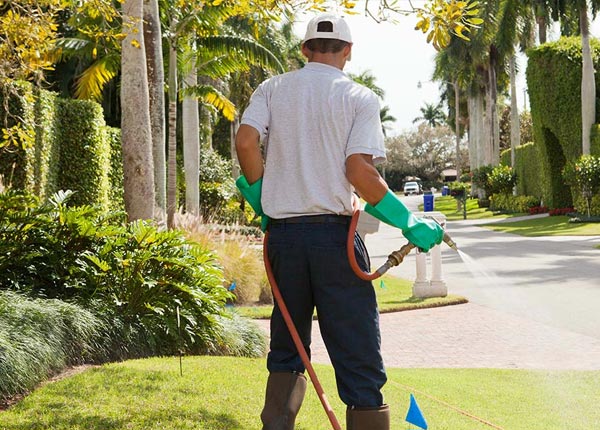 About Milpitas CA Pest Control Pros